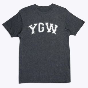 Yeshiva Of Greater Washington School Varsity Arch Premium T-Shirt