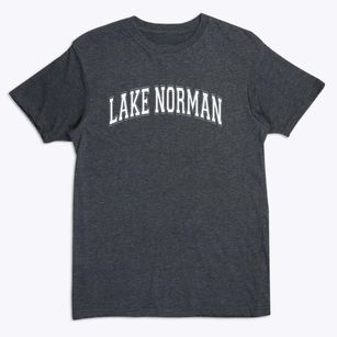 Lake Norman Elementary School Varsity Arch Premium T-Shirt