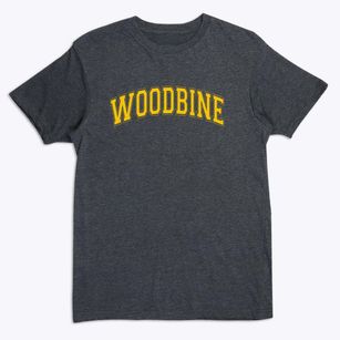 Woodbine Elementary School Varsity Arch Premium T-Shirt