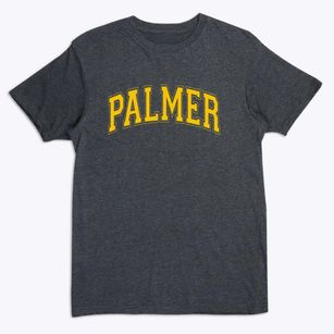 Palmer Elementary School Varsity Arch Premium T-Shirt