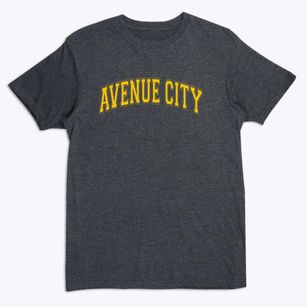 Avenue City R 9 School Varsity Arch Premium T-Shirt