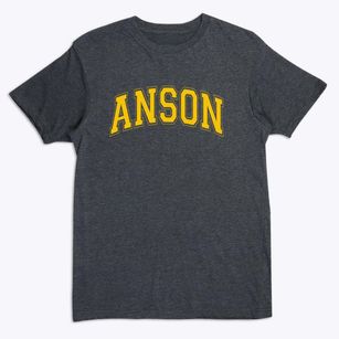 Anson High School Varsity Arch Premium T-Shirt