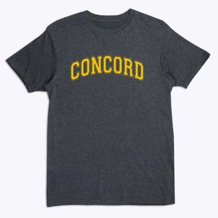 Concord Christian School Varsity Arch Premium T-Shirt