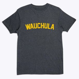 Wauchula Florida Classic Curve Premium T-Shirt