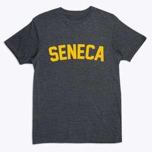 Seneca Illinois Classic Curve Premium T-Shirt