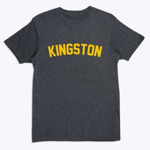 Kingston Illinois Classic Curve Premium T-Shirt