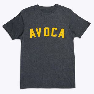Avoca Nebraska Classic Curve Premium T-Shirt