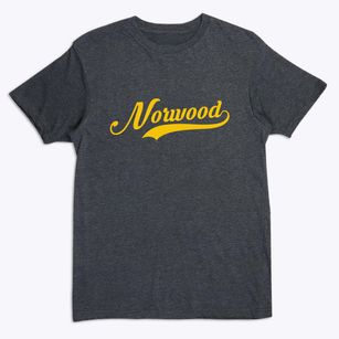 Norwood New York Vintage Team Premium T-Shirt