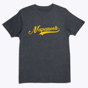 Napanoch New York Vintage Team Premium T-Shirt