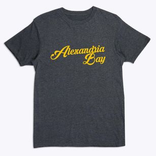 Alexandria Bay New York Vintage Team Premium T-Shirt