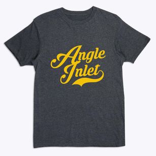 Angle Inlet Minnesota Vintage Team Premium T-Shirt