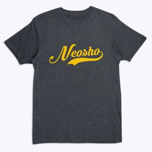 Neosho Missouri Vintage Team Premium T-Shirt