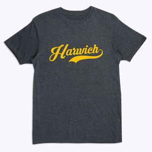 Harwich Massachusetts Vintage Team Premium T-Shirt