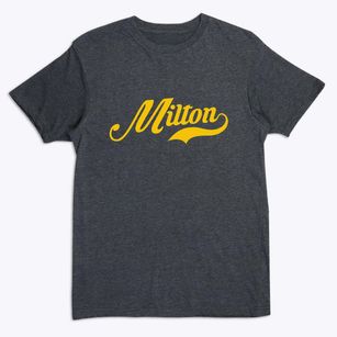 Milton Florida Vintage Team Premium T-Shirt