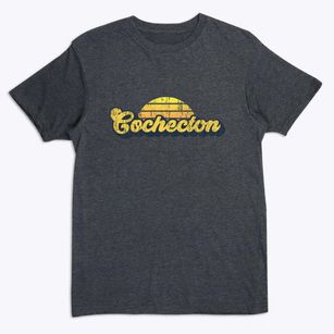 Cochecton New York Sublime Sunset Premium T-Shirt