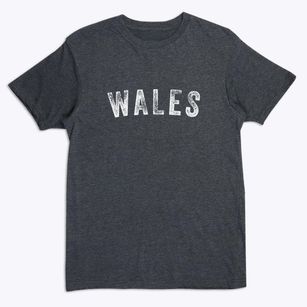 Wales Utah Timeless Retro Premium T-Shirt