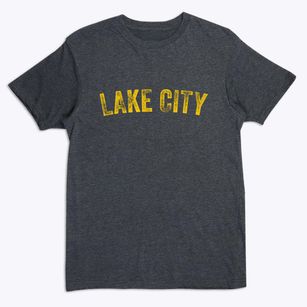 Lake City Minnesota Timeless Retro Premium T-Shirt