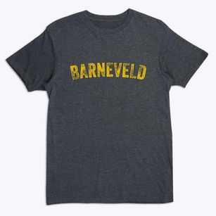 Barneveld New York Timeless Retro Premium T-Shirt