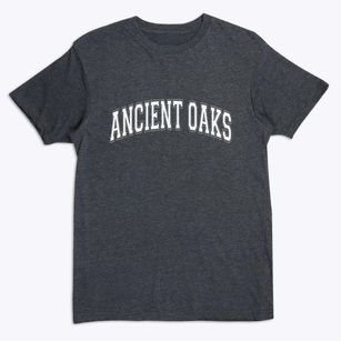 Ancient Oaks Pennsylvania Varsity Premium T-Shirt