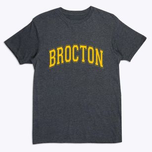 Brocton New York Varsity Premium T-Shirt