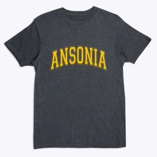 Ansonia Connecticut Varsity Premium T-Shirt