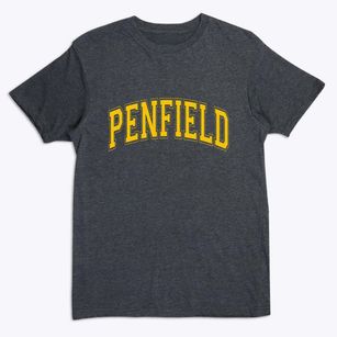 Penfield Illinois Varsity Premium T-Shirt
