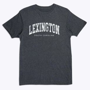 Lexington South Carolina Urban Vibe Premium T-Shirt