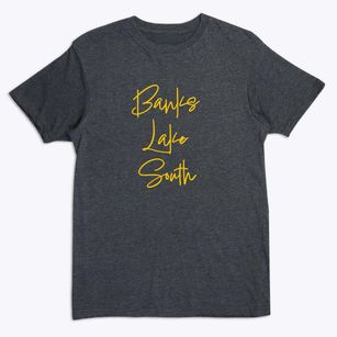Banks Lake South Washington Freestyle Premium T-Shirt