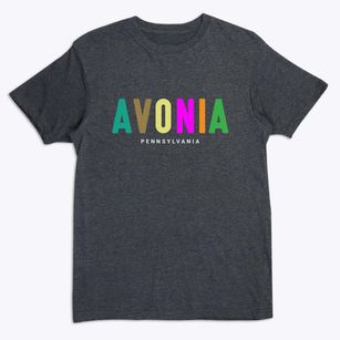 Avonia Pennsylvania Color Pop Premium T-Shirt