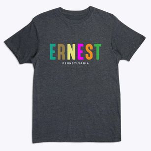 Ernest Pennsylvania Color Pop Premium T-Shirt