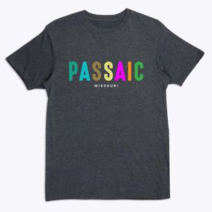 Passaic Missouri Color Pop Premium T-Shirt
