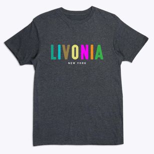 Livonia New York Color Pop Premium T-Shirt