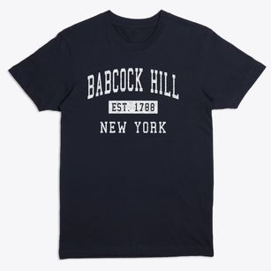 Babcock Hill New York Classic Established Premium T-Shirt