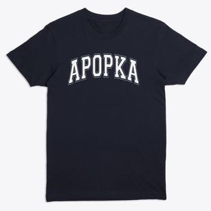 Apopka Elementary School Varsity Arch Premium T-Shirt