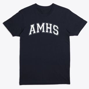 Academic Magnet High School Varsity Arch Premium T-Shirt