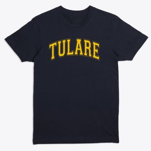 Tulare Technical Prep School Varsity Arch Premium T-Shirt