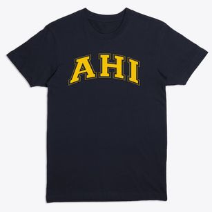 Ahi Ezer Yeshiva School Varsity Arch Premium T-Shirt
