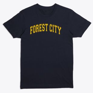 Forest City Elementary School Varsity Arch Premium T-Shirt
