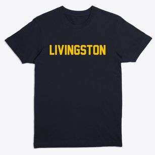 Livingston New York Classic Block Premium T-Shirt