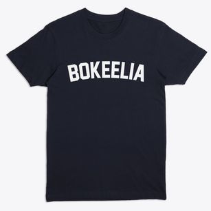 Bokeelia Florida Classic Curve Premium T-Shirt
