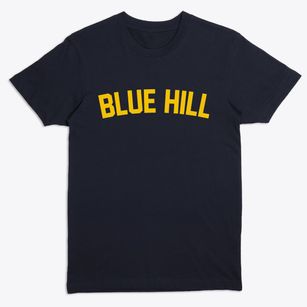 Blue Hill Nebraska Classic Curve Premium T-Shirt