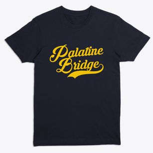 Palatine Bridge New York Vintage Team Premium T-Shirt