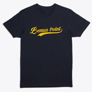 Bemus Point New York Vintage Team Premium T-Shirt