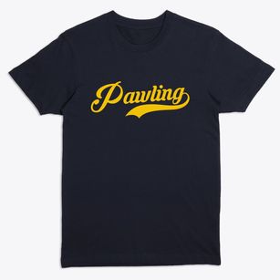 Pawling New York Vintage Team Premium T-Shirt