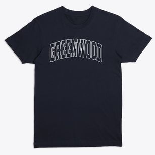 Greenwood Delaware Trendy Block Premium T-Shirt