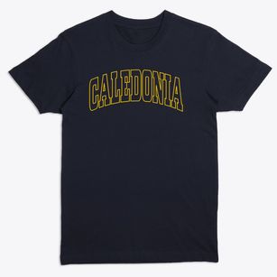 Caledonia Missouri Trendy Block Premium T-Shirt
