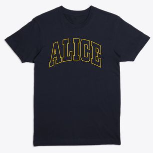 Alice North Dakota Trendy Block Premium T-Shirt