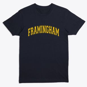 Framingham Massachusetts Varsity Premium T-Shirt