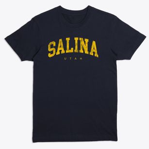 Salina Utah Urban Vibe Premium T-Shirt