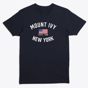 Mount Ivy New York Patriot Premium T-Shirt